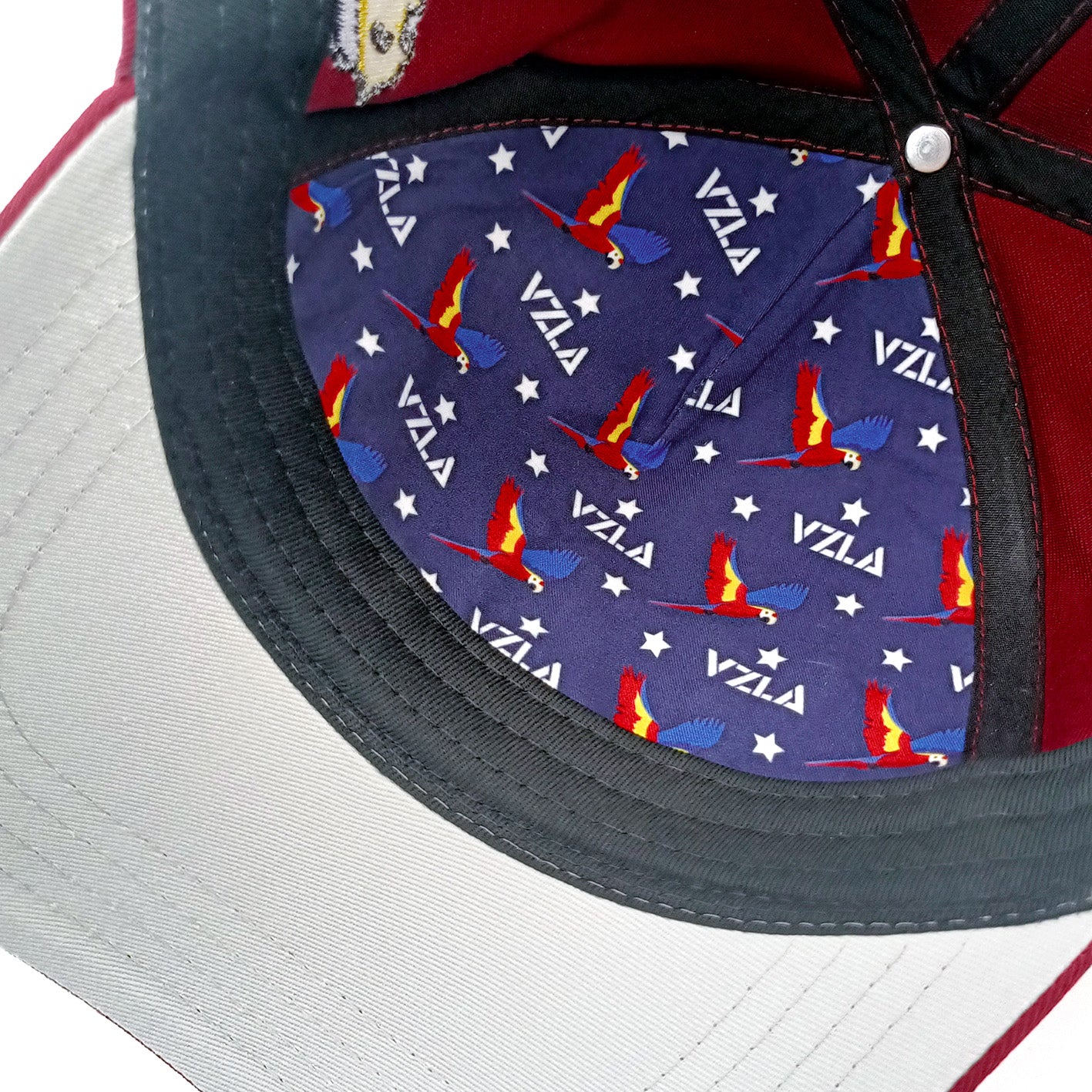 Gorra VZLA x DMC I #240912 I V12